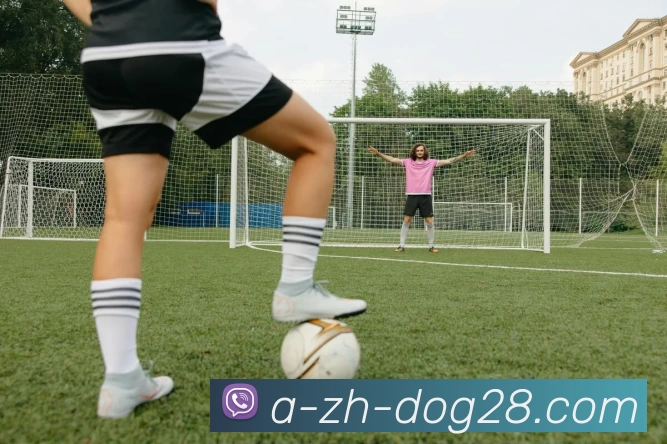 狗子28品牌故事